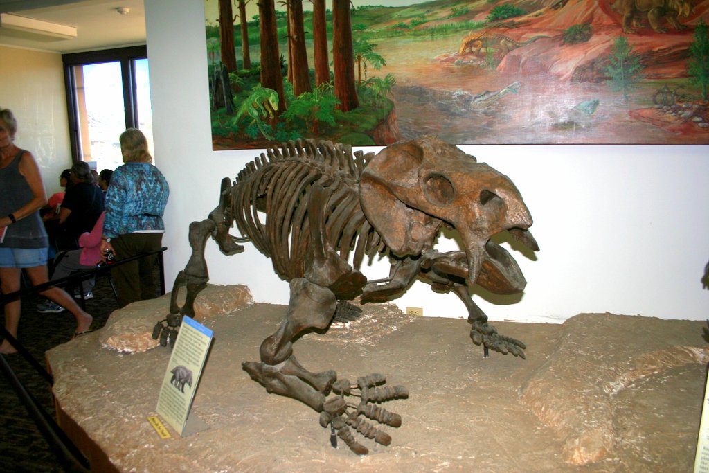 petrified forest dinosaurs